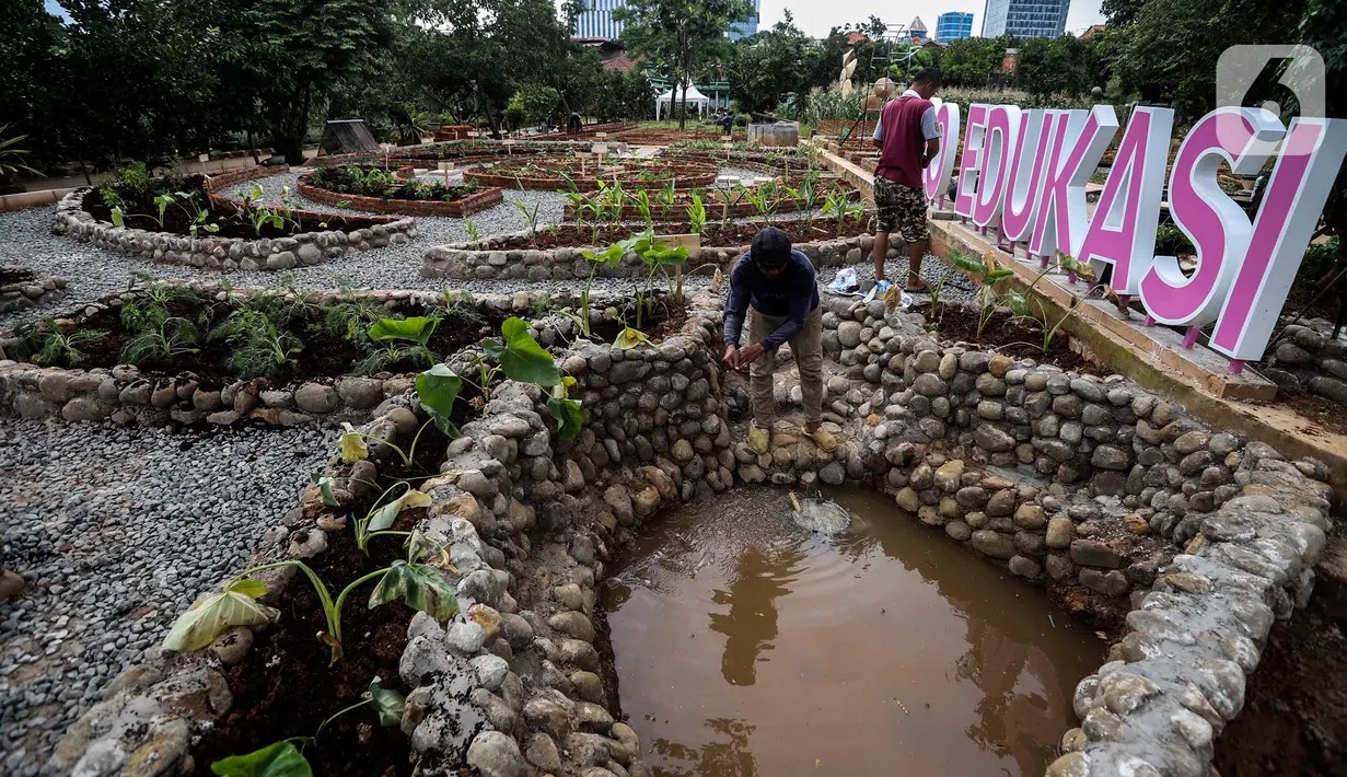 Pekerja menyelesaikan pembangunan kawasan Agro Edukasi Wisata Ragunan di Jakarta, Selasa (15/12/2020). Agro Edukasi Wisata Ragunan rencananya akan dibuka untuk umum hari ini, Selasa 15 Desember 2020. (Liputan6.com/Johan Tallo)