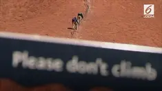 Pemerintah Australia mengeluarkan larangan mendaki bukit batu Uluru karena dianggap sakral.