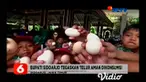 Bupati Sidoarjo, Saiful Illah, menyelenggarakan kegiatan Gerakan Makan Telur bersama siswa/siswi dalam rangka menepis dugaan telur mengandung dioksin sekaligus merayakan Hari Pangan Sedunia.