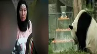 Keluarga korban dan pelaku pemukaulan siswa SD sepakat beramai, hingga panda bernama Pan Pan di Tiongkok, merayakan ulang tahun ke-30.