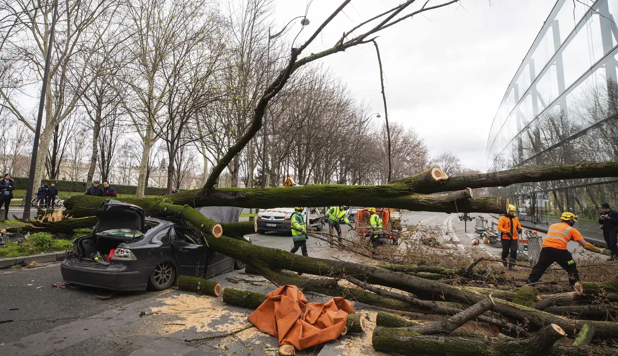 Petugas penyelamat membersihkan lokasi setelah sebuah pohon menimpa mobil di Paris (27/2/2020).  Brigade pemadam kebakaran Paris mengatakan telah lebih dari 100 kecelakaan terkait badai di wilayah Paris, ketika hembusan angin dan hujan tiba-tiba menyapu daerah tersebut. (Benoit Moser/BSPP via AP)