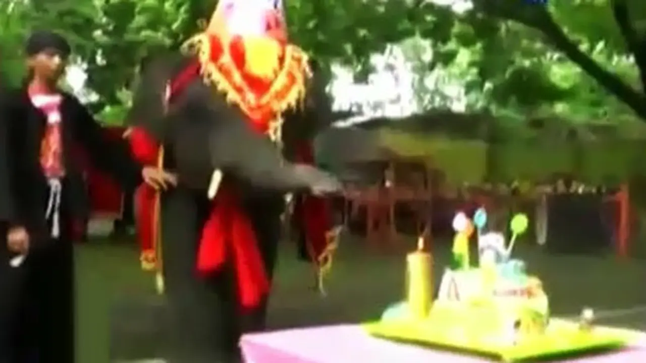 Gajah-Ultah