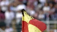 Tawon di ujung bendera tendangan penjuru pada pertandingan Sao Paulo melawan Fortaleza, Minggu (6/10/2019) (AFP/Bruno Ulivieri)