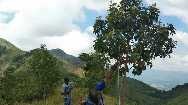 Suasana Desa di lereng gunung Ine Lika Flores NTT