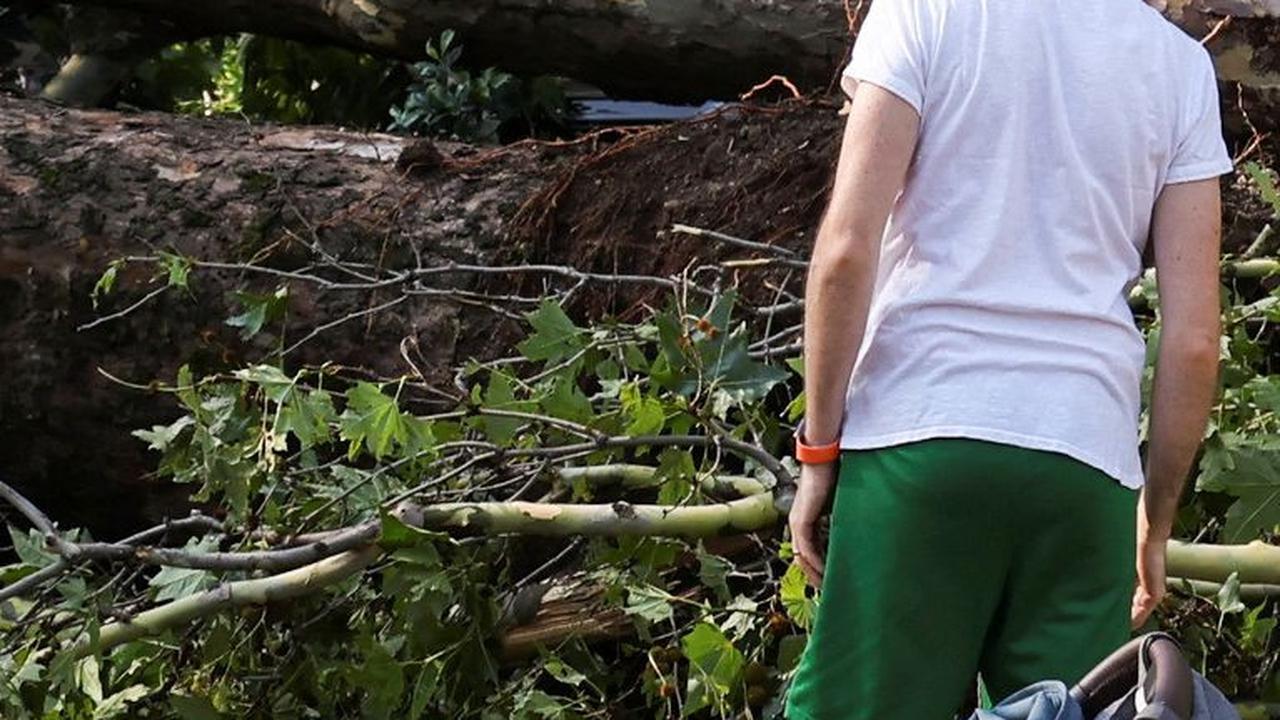 Menurut presiden regional, Luca Zaia mengatakan badai ini sangat mengejutkan dirinya karena turun dengan membawa bulatan es berdiameter 10 cm di Veneto.
