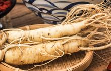 Mengungkap Khasiat Akar Ginseng, Herbal Alami untuk Daya Tahan Tubuh