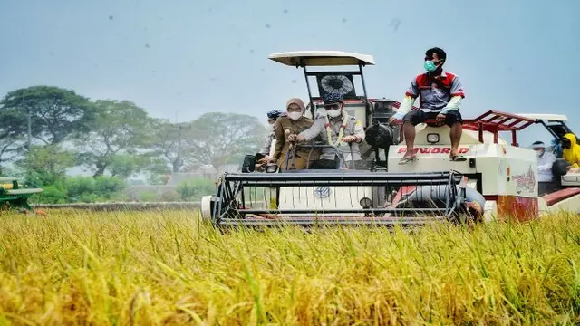 Mentan Syahrul Yasin Limpo Sebut 4 Tantangan Terbesar di Sektor Pertanian
