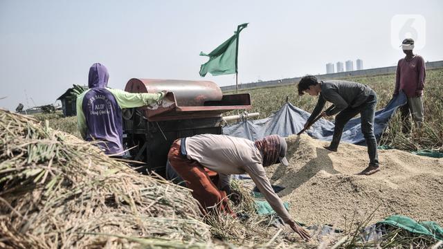 Stok Beras Nasional di Tengah Pandemi