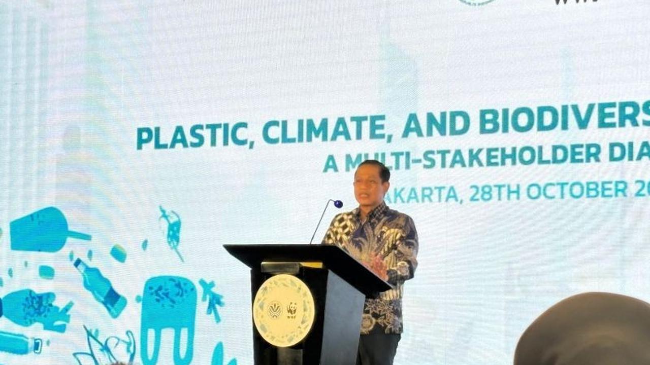Hanya Tersisa 64 Individu, Pemerintah Bentuk Zona Konservasi Selamatkan Pesut Mahakam dari Ancaman Kapal Batu Bara