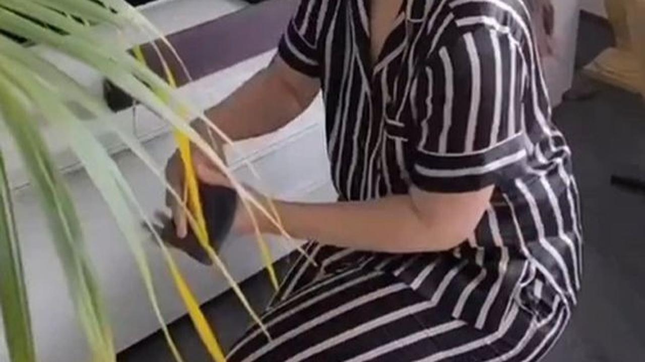 Apartemen yang ditinggali oleh Gracia Indri dan suaminya