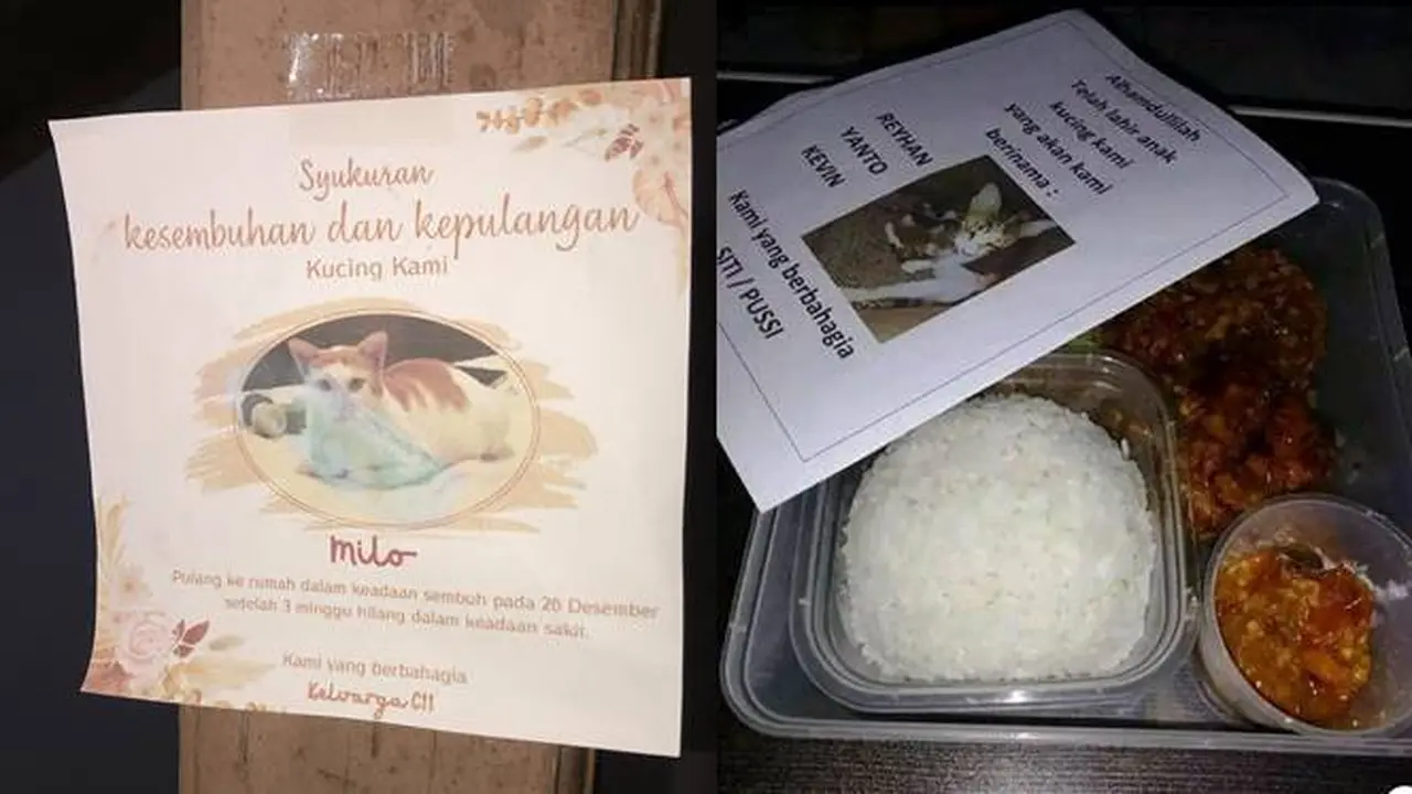 7 Momen Orang Bikin Acara Syukuran Untuk Kucing, Ada yang Diketawain