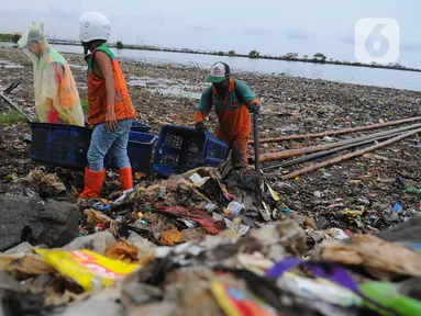 Petugas Suku Dinas Lingkungan Hidup Kepulauan Seribu  membersihkan sampah di pesisir Marunda Kepu, Cilincing, Jakarta, Jumat (16/6/2023).(merdeka.com/imam buhori)