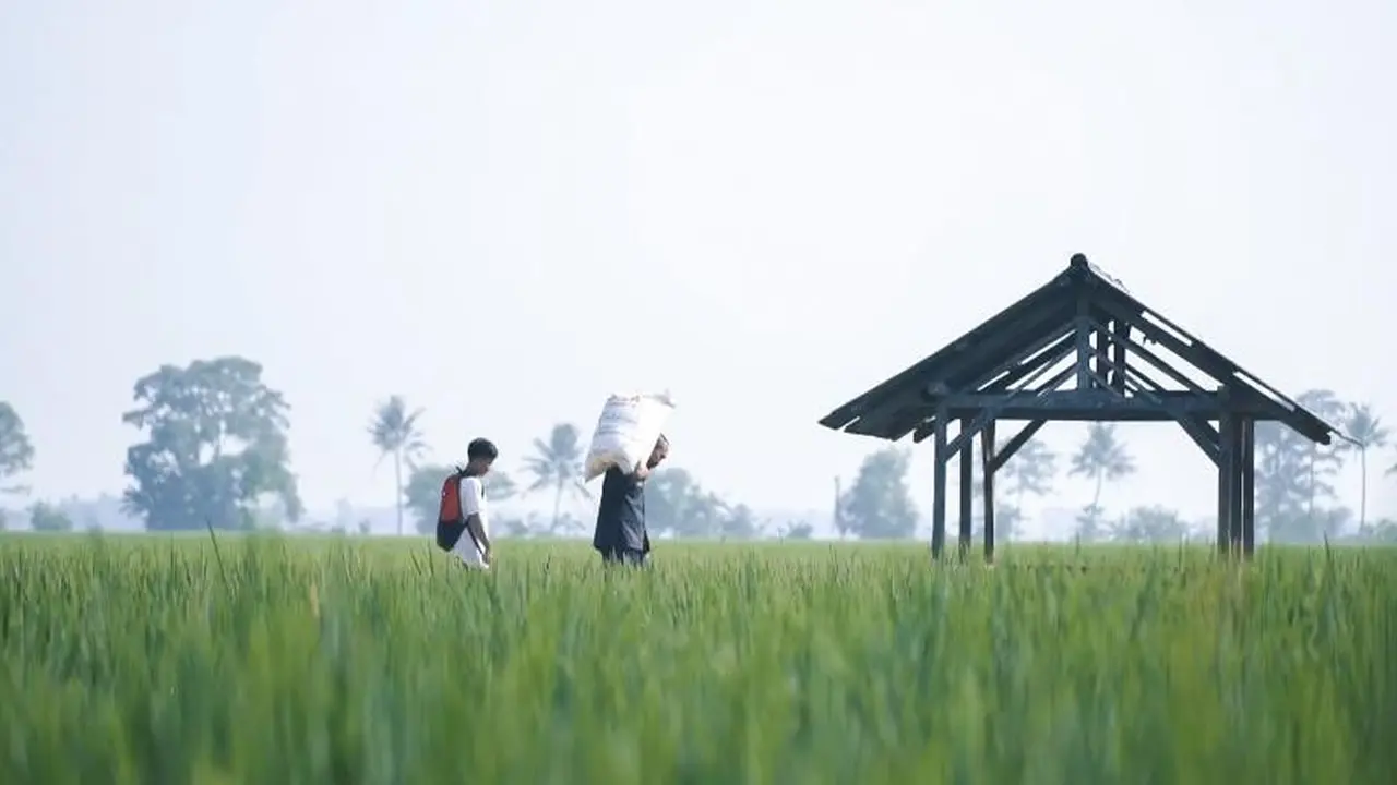 Sawah