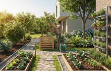 7 Cara Membuat Taman Rumah Sekaligus Kebun Buah, Estetik dan Produktif