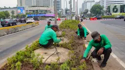 Tanaman yang rusak berada di depan Halte Bundaran HI Astra. Sebelumnya, sebuah panggung terpasang di area itu. (merdeka.com/Arie Basuki)