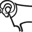 Derby County Football Club atau bisa juga disebut Derby County adalah sebuah klub sepak bola profesional Inggris
