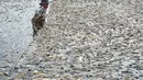 Waduk tersebut merupakan sumber air untuk tanaman di Distrik Trang Bom dan Vinh Cuu di Provinsi Dong Nai. (STR / AFP)
