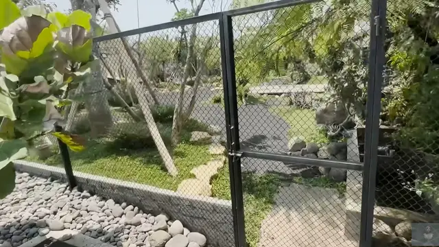 Model Kolam di Taman Rumah Soimah