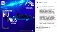 instagram @wwf_id memperingati hari hiu paus sedunia.