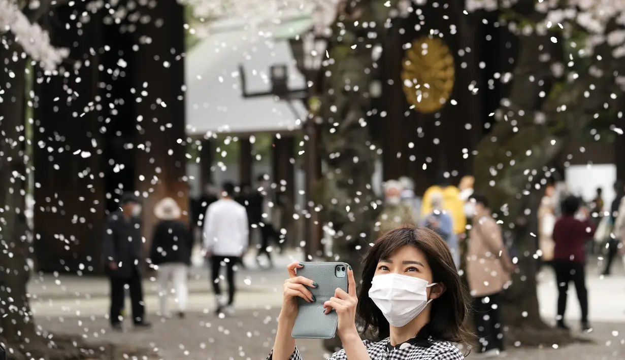 Seorang pengunjung berfoto di bawah pancuran bunga sakura yang mekar penuh di kuil shinto di Tokyo, Kamis (31/3/2022). (AP Photo/Shuji Kajiyama)