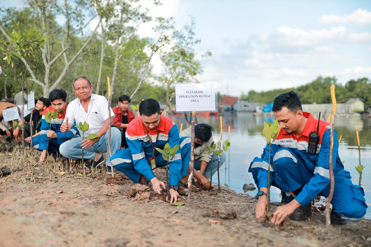 Pertamina Perkuat Program Hutan Lestari untuk NZE 2060 Sekaligus Peringati Hari Hutan Sedunia