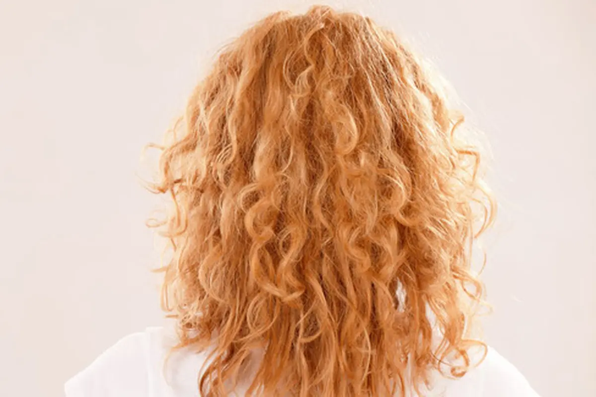 (c)shutterstock