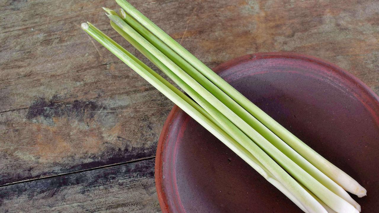 Inilah Cara Membuat Minuman Serai untuk Kesehatan Jantung dan Tekanan Darah