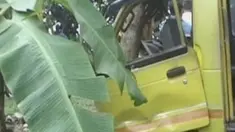liputan6