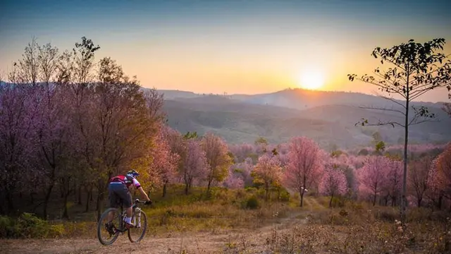 Pemandangan Gunung Phu Lom Lo di Thailand