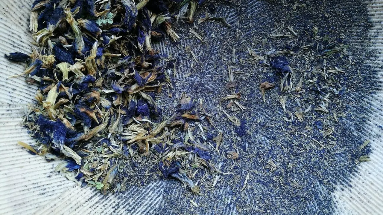 Teh bunga telang, selain memiliki warna yang cantik teh ini juga bermanfaat untuk Kesehatan.