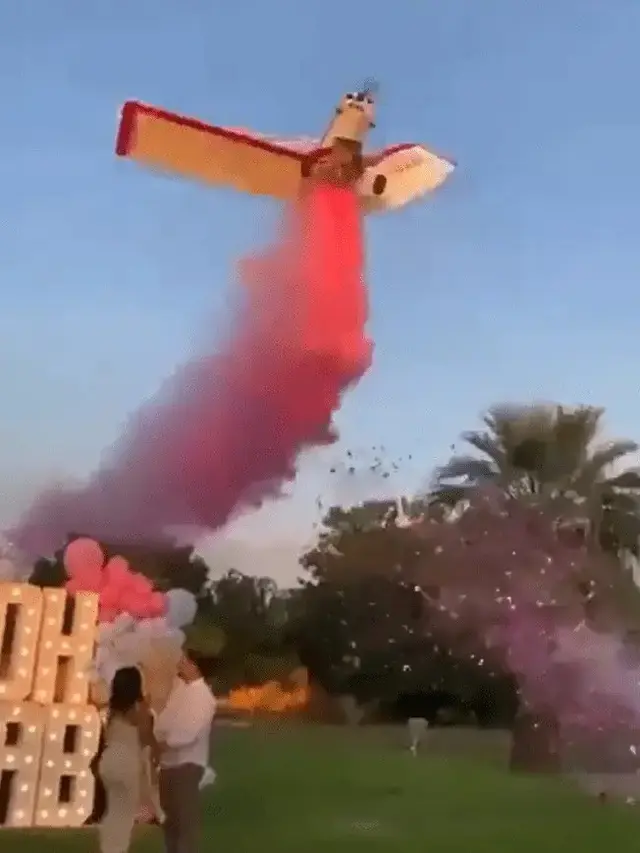 Potret Gender Reveal Berujung Tragedi, Pesawat Jatuh Tak Disadari Tamu Undangan