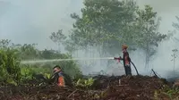 18 Ton Garam Disemai Demi Padamkan Kebakaran Gambut di Jambi
