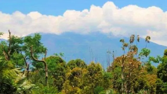 Erupsi Gunung Raung Tak Ganggu Aktivitas Penerbangan di Bandara Banyuwangi