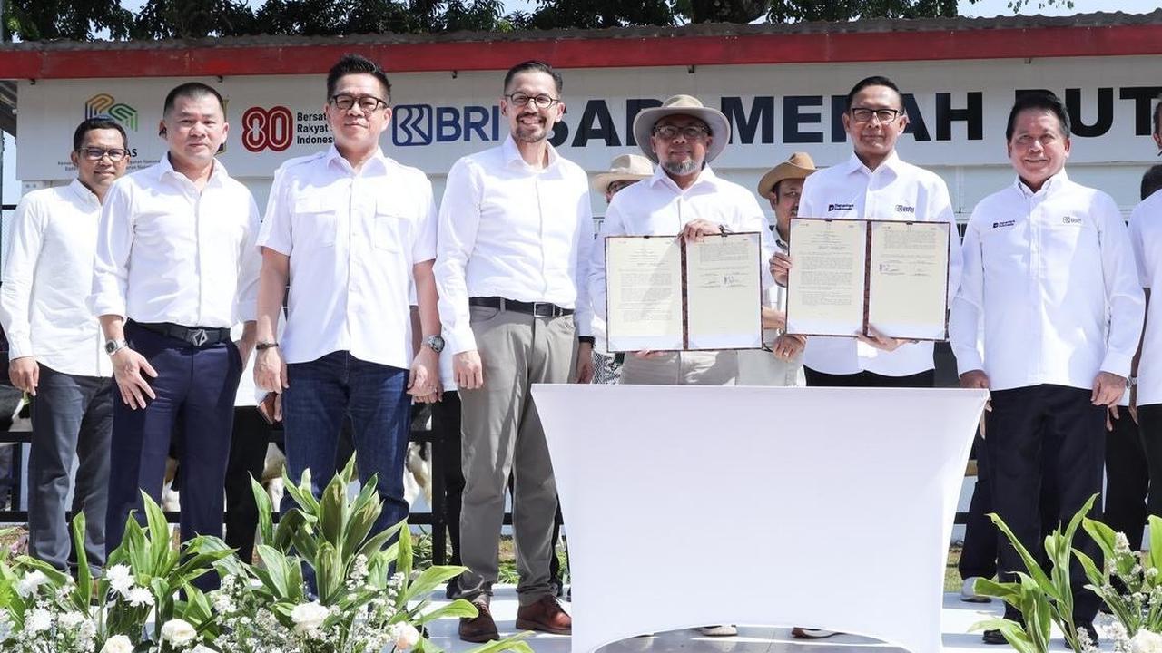 BRI Beri Modal Hingga Investasi bagi PT Moosa Genetics untuk Kembangkan Program Sapi Merah Putih
