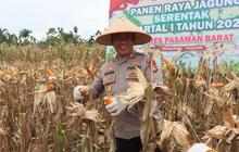 Polres Pasaman Barat Fasilitasi Penjualan Jagung Petani, Pastikan Harga Standar Nasional