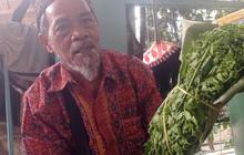 Petani Lebak Raup Jutaan Rupiah dari Jualan Daun Pakis di Jakarta, Lepas dari Kemiskinan