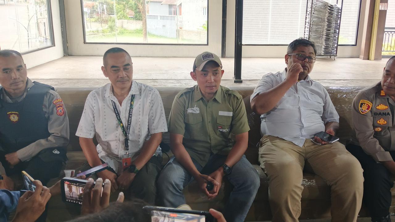 Macan Tutul Lepas dari Lembang Park and Zoo Ternyata yang Masuk Balai Desa di Kuningan