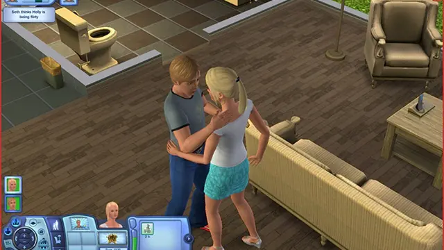 THE SIMS