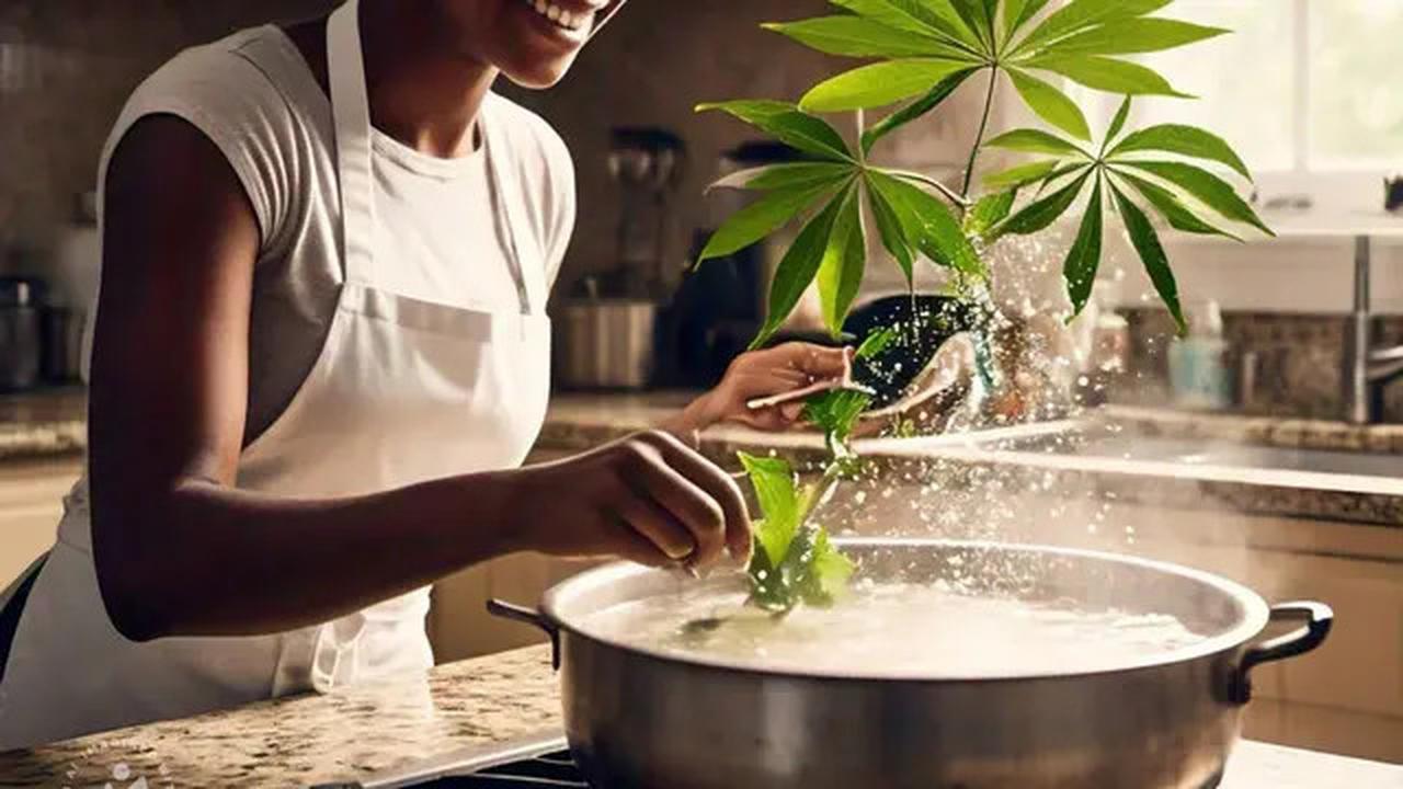 Bukan Sekadar Sayur Diasa, Daun Singkong Ternyata Berpotensi Jadi Obat Alami Penyakit Kulit