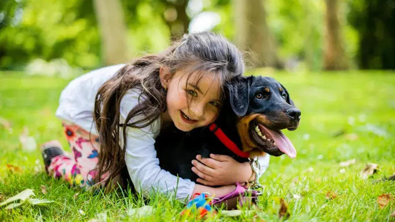 Miris, Bocah di Thailand Ditemukan Hidup Bersama Anjing dan Cuma Bisa Menggonggong