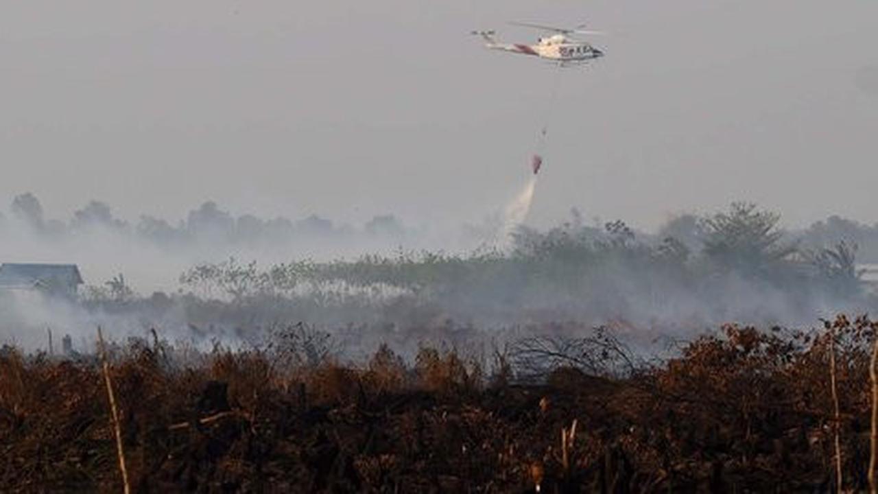 4 Janji manis Singapura-Malaysia usai diduga ikut picu bencana asap
