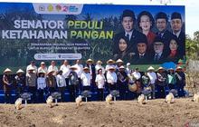 Tahukah Anda? DPD RI Canangkan Program Senator Peduli Ketahanan Pangan di NTT, Fokus Jagung untuk Swasembada