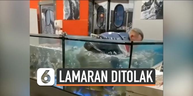 VIDEO: Lamaran Ditolak Kekasih, Pria Ini Masuk Ke Akuarium