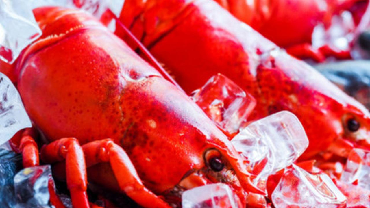 Ilustrasi lobster | energepic.com dari Pexels