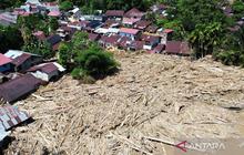 Kementerian Kehutanan Identifikasi 49.197 Hektare Potensi Rehabilitasi Pascabencana Sumatera