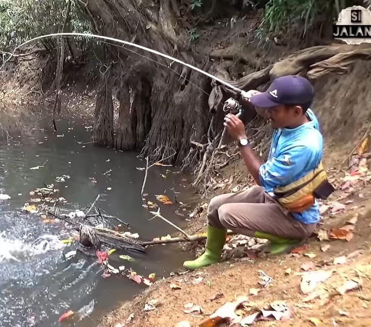 Seorang pria dililit ular piton sepanjang 4 meter saat tengah asik memancing di tengah-tengah hutan Kalimantan Selatan. Momen menegangkan itu pertama kali diunggah oleh akun YouTube Si Jalang, pada Rabu (30/8).&nbsp;