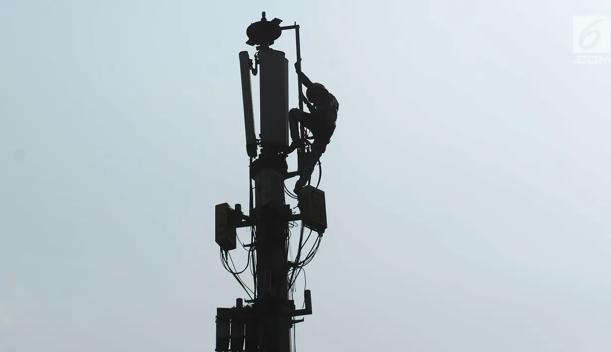 Teknisi melakukan pengecekan audit data jaringan 3G dan 4G pada tiang monopol di Jalan Diponegoro, Jakarta, Sabtu (24/8/2019). Selama ini, fasilitas internet yang disediakan pemerintah masih didominasi sinyal 3G. (merdeka.com/Imam Buhori)