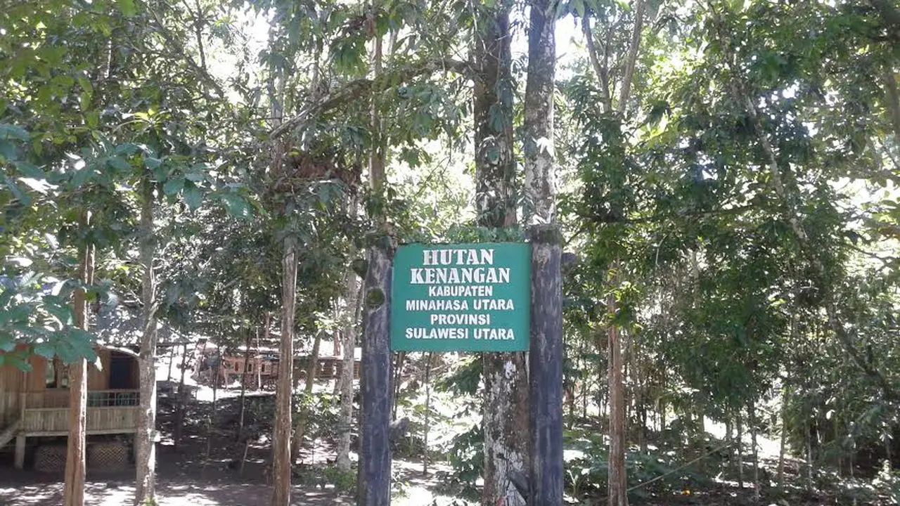 Tanam Pohon di Hutan Kenangan Jadi Syarat Pengantin di Minahasa