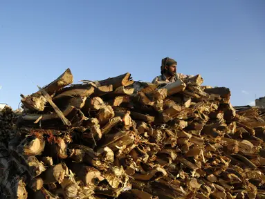 Seorang pedagang menata tumpukan kayu untuk dijual di sebuah pasar di Sanaa, Yaman, pada 5 November 2020. Penduduk Yaman beralih menggunakan kayu untuk memasak karena kekurangan pasokan bahan bakar. (Xinhua/Mohammed Mohammed)