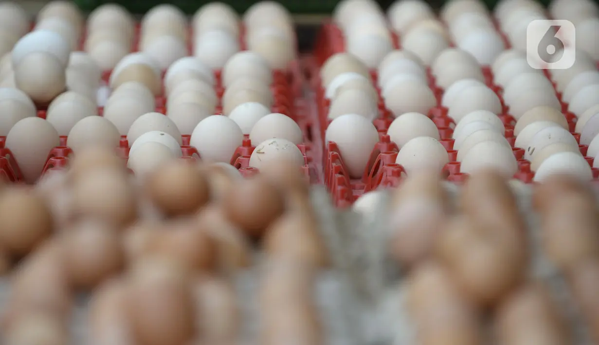 Telur dijual di pinggir jalan kasawan Perumahan Nusa Indah, Tangerang Selatan, Banten, Jumat (22/5/2020). Harga telur warna cokelat Rp 22 ribu per kilogram, sedangkan telur warna putih Rp 20 ribu per kilogram. (merdeka.com/Dwi Narwoko)